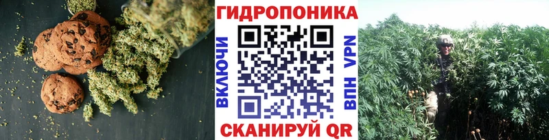 ОМГ ОМГ tor  Емва  Canna-Cookies конопля 