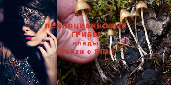 метадон Семикаракорск