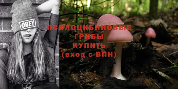 спайс Абинск
